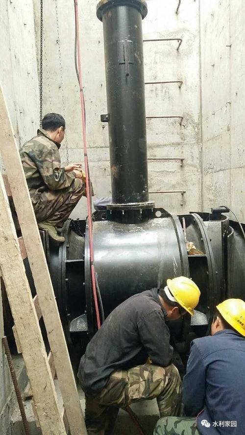 臥式全貫流潛水泵 革新設(shè)計(jì)與應(yīng)用前景